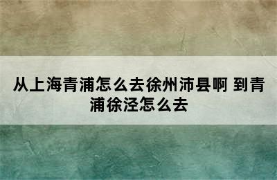 从上海青浦怎么去徐州沛县啊 到青浦徐泾怎么去